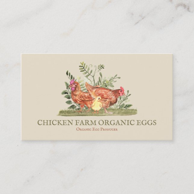 Cartão De Visita Produtor de Ovos Orgânicos (Frente)