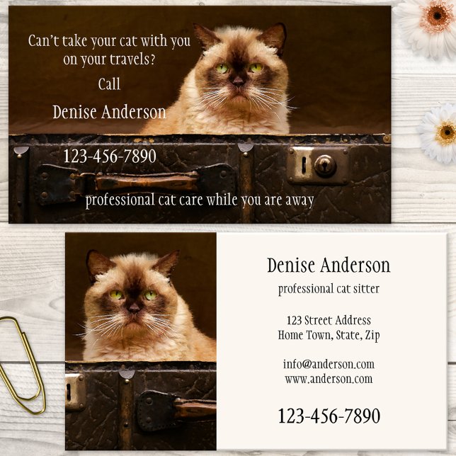 Cartão de visita profissional do baby-sitter do (Business card featuring a cute grumpy cat in a travel case. Great for a cat sitter)