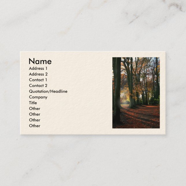 Cartão De Visita Profundamente no negócio/cartões de visitas do (Frente)