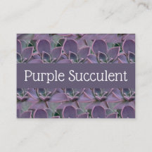 Purple Succulent