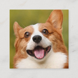 Cartão De Visita Quadrado Adicionar Foto de Cão Personalizada Personalizada