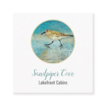 Aluguer Costeira de Sandpiper Bird Beach