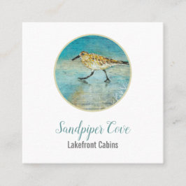 Cartão De Visita Quadrado Aluguer Costeira de Sandpiper Bird Beach