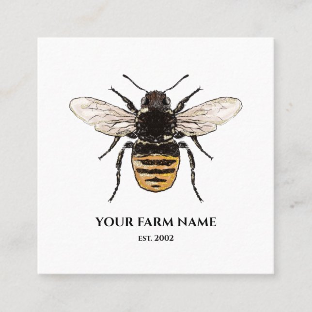 Cartão De Visita Quadrado Apiarista Apiarista Abelhas Abelhas Honeycomb Sq (Frente)