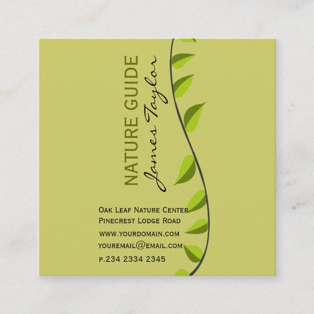 Cartão De Visita Quadrado As hortaliças de Verde disparam em plantas (Frente)