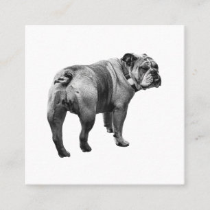 Cartão De Visita Quadrado Bulldog Calmo, Emblema Suave