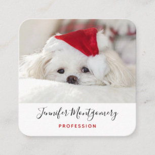 Cartão De Visita Quadrado Cachorro Branco giro em chapéu vermelho de Natal