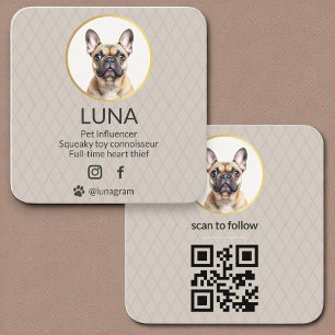 Cartão De Visita Quadrado Cachorro Pet Social Media QR Code Foto Elegante Do