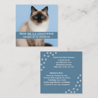 Cartão De Visita Quadrado Carte de visite personnalisée chatterie élégante
