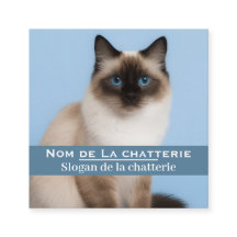 Carte de visite personnalisée chatterie élégante