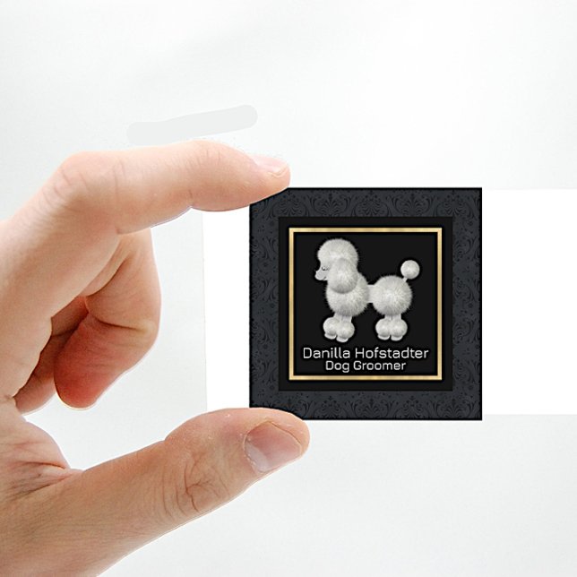 Cartão De Visita Quadrado Chic Damask Dog Groomer (Criador carregado)