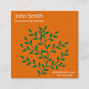 Cartão De Visita Quadrado Cientista ambiental ou ecologista