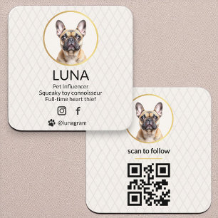 Cartão De Visita Quadrado Código QR de Mídia Social Cachorro Dourado Pet Ele