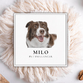 Cartão De Visita Quadrado Código QR do Cachorro Pet Social Pet Elegante mode