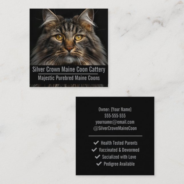 Cartão De Visita Quadrado Custom Maine Coon Cattery Business Card  (Frente/Verso)