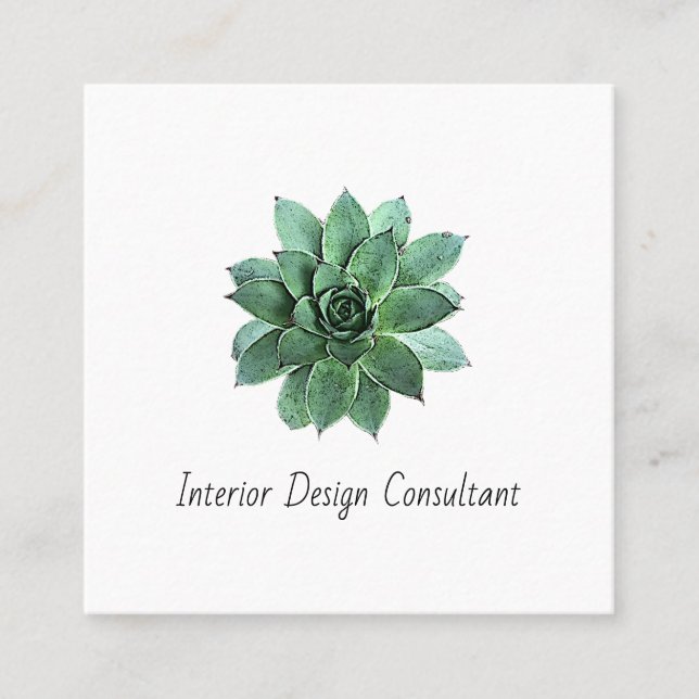 Cartão De Visita Quadrado Desert Succulent QR code Interior Designer  (Frente)