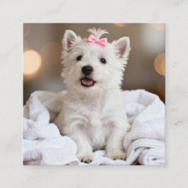 Cartão De Visita Quadrado Dog Groomer Business Card