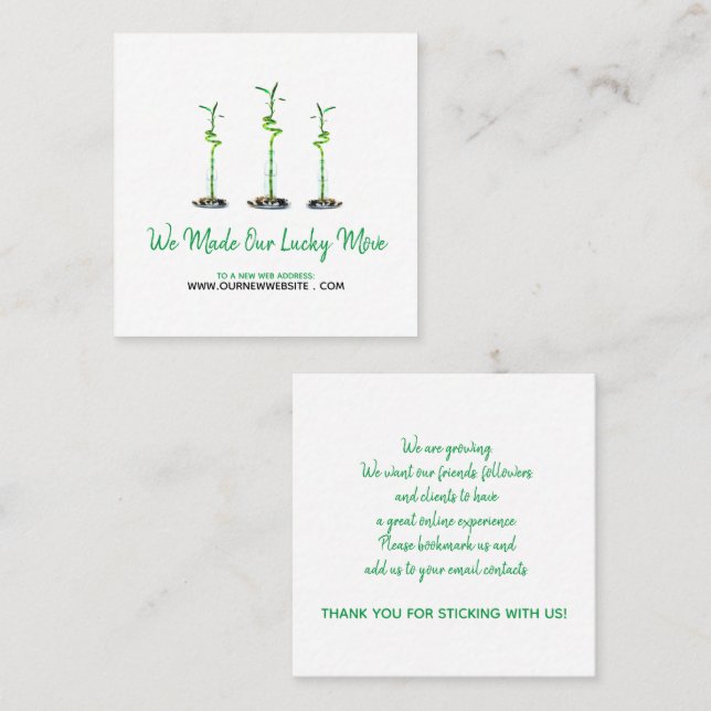 Cartão De Visita Quadrado Endereço do site da empresa Mudar Curly Bamboo (Frente/Verso)