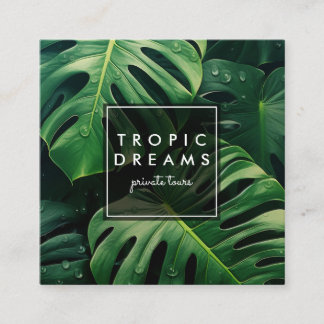 Cartão De Visita Quadrado Enorme Monstera Leaf Botanic Garden Fotografia