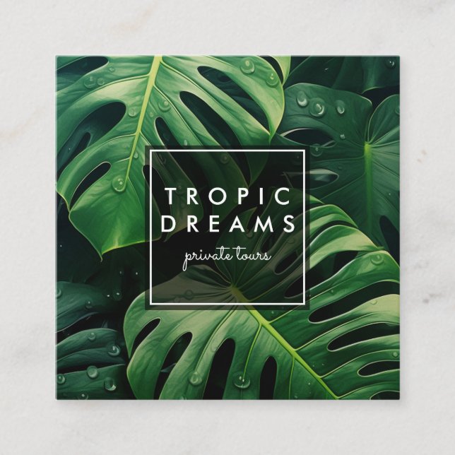 Cartão De Visita Quadrado Enorme Monstera Leaf Botanic Garden Fotografia (Frente)