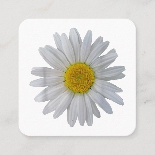 Cartão De Visita Quadrado Flor margarida branca, margarida florescente, flor (Frente)