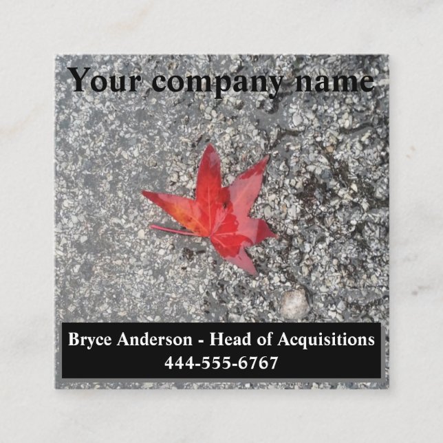 Cartão De Visita Quadrado Folha vermelha da chuva na estrada texturizada de  (Frente)