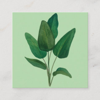 Cartão De Visita Quadrado Folhas tropicais
