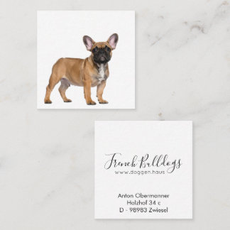 Cartão De Visita Quadrado French Bulldogs  Square Business Card