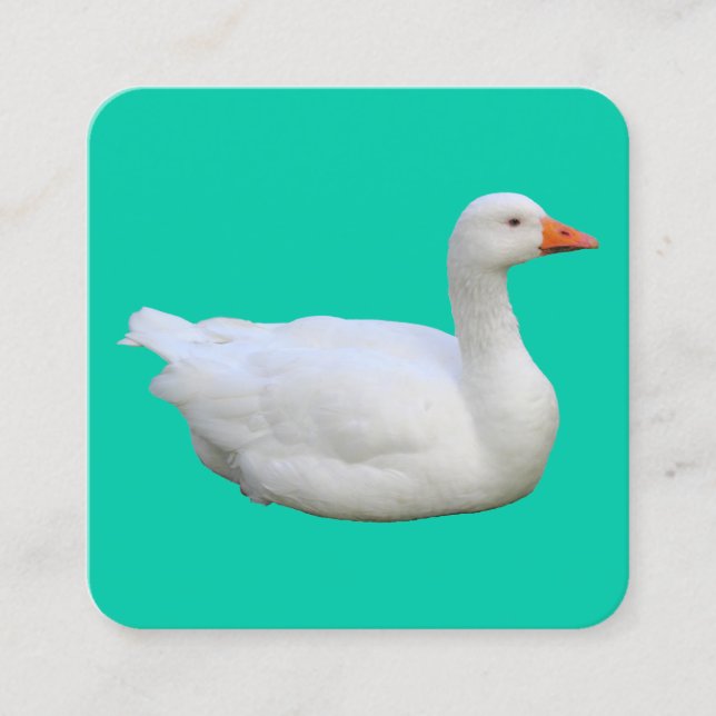 Cartão De Visita Quadrado Ganso Branco (Frente)