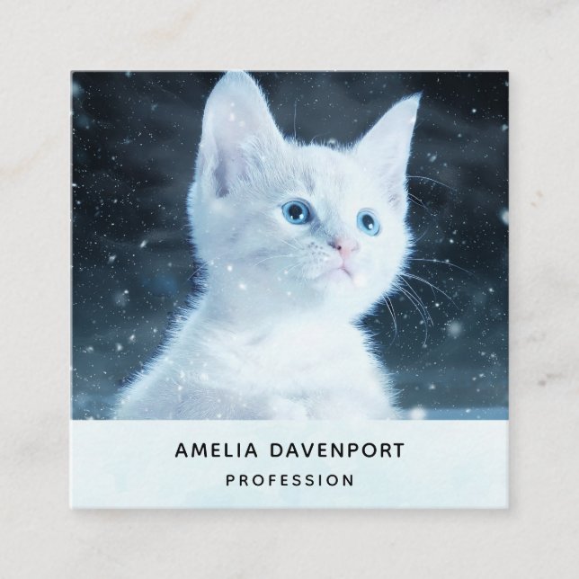 Cartão De Visita Quadrado Gatinho Branco Fofo com Olhos Azuis Bonitos (Frente)