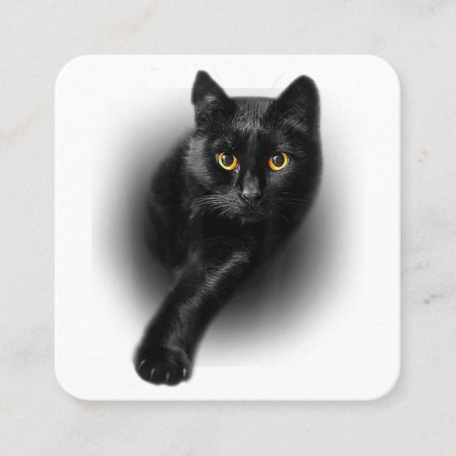 Cartão De Visita Quadrado Gatos de T-Shirt de Olhos Amarelos de Gato Negro (Frente)
