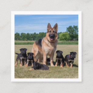 Cartão De Visita Quadrado German shepherd personalizável com uppies adaptáve