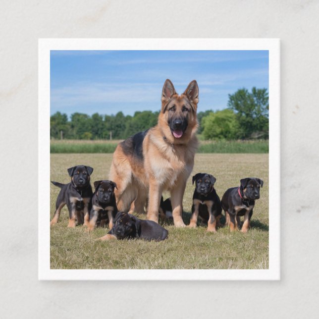 Cartão De Visita Quadrado German shepherd personalizável com uppies adaptáve (Frente)