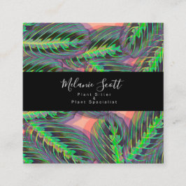 Cartão De Visita Quadrado Ilustração da Planta Maranta Oradora Calathea