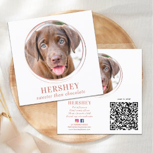 Cartão De Visita Quadrado Mídia Social de Pet de Cachorro Dourado Elegante P