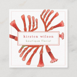 Cartão De Visita Quadrado Mínimo, Elegante Flores de Pata de Canguru, Busi Q