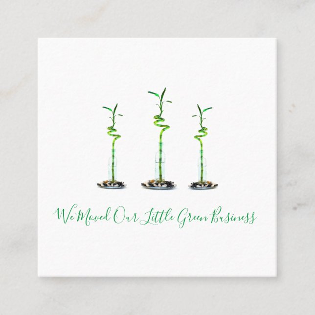 Cartão De Visita Quadrado Mudamos O Novo Endereço Comercial Lucky Bamboo (Frente)