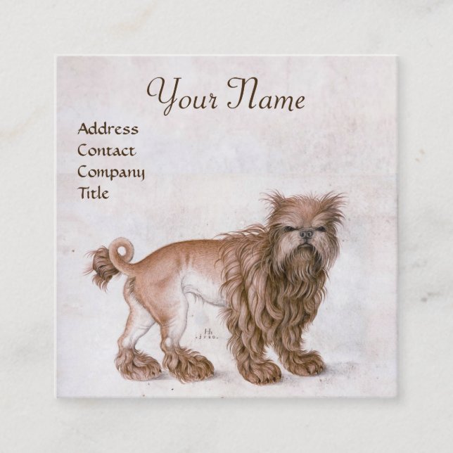 Cartão De Visita Quadrado O CÃO / Affenpinscher/ Veterinário,Veterinário (Frente)
