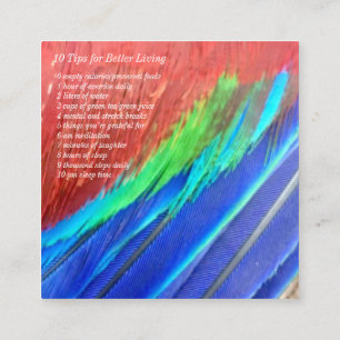 Cartão De Visita Quadrado Parte dianteira e parte traseira quadradas do