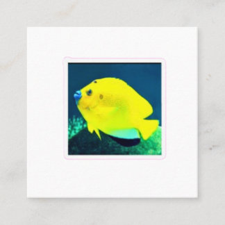 Cartão De Visita Quadrado Peixe-anjo Exótico Threespot Flagfin - Trop Vibran