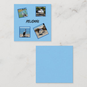 Cartão De Visita Quadrado Pelicanos, Os Quatro Quadros Fotográficos Mais Fre
