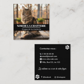 Cartão De Visita Quadrado Personnalisée de Chatterie Maine Coon