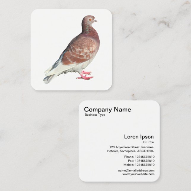 Cartão De Visita Quadrado Pigão Vermelho (Frente/Verso)