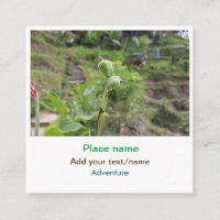 Plantas naturais fotografia água de praia viagem