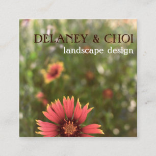 Cartão De Visita Quadrado Rosa Daisy Photo Landscaper Garden Wildflower