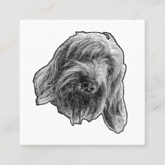 Cartão De Visita Quadrado Spinone Gentle Contact