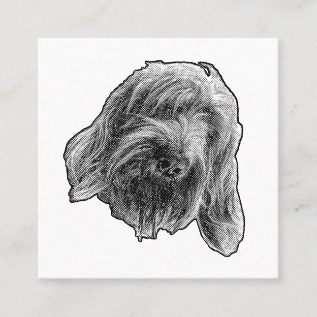 Cartão De Visita Quadrado Spinone Gentle Contact (Frente)