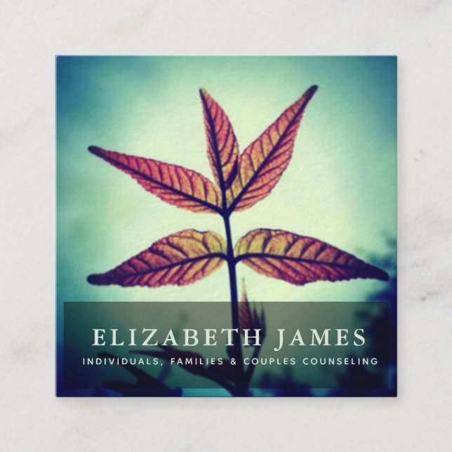 Cartão De Visita Quadrado Tibre Blue Orange Star Leaf Nature (Frente)