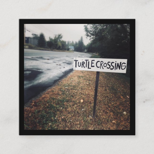 Cartão De Visita Quadrado travessia de tartaruga (Frente)