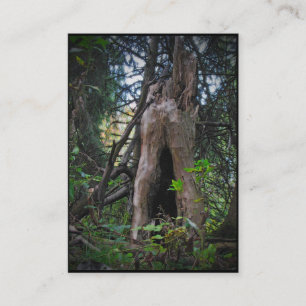 Cartão De Visita Quem vive aqui? ATC